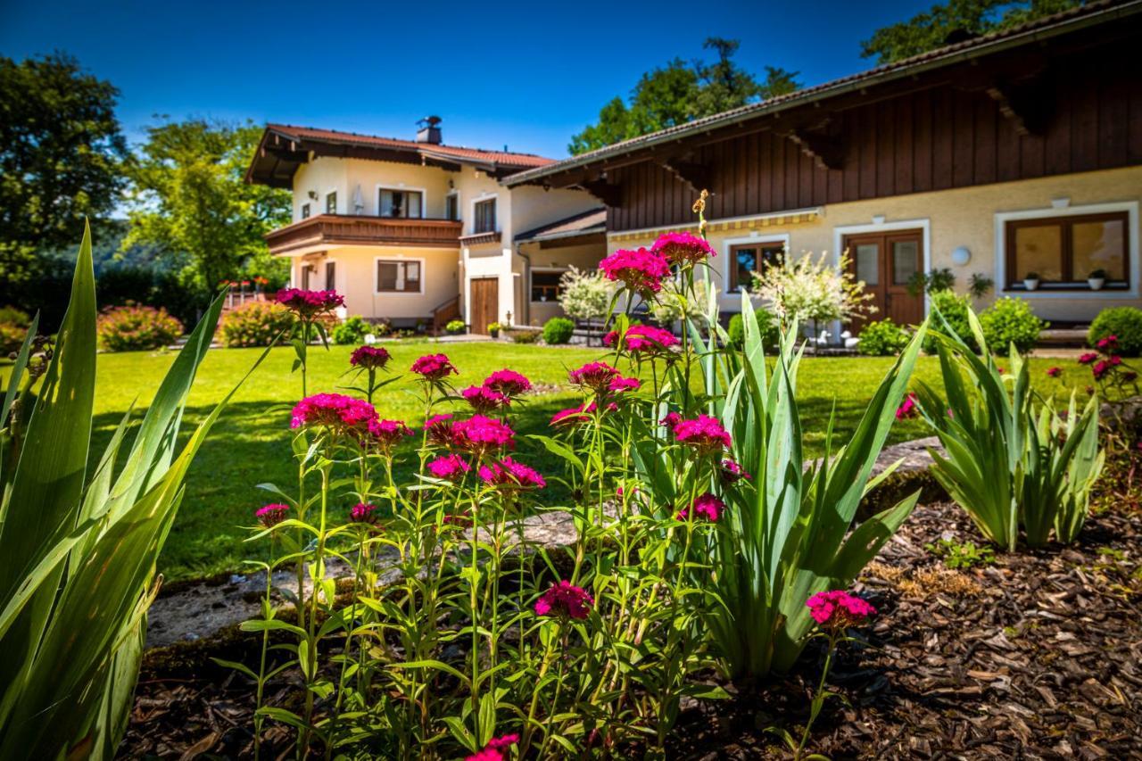 Ferienwohnung Wallmerhof Am Laendlichen Wimberg Adnet 外观 照片