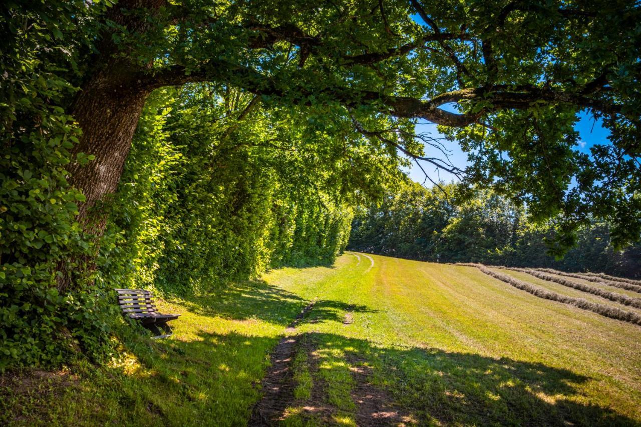 Ferienwohnung Wallmerhof Am Laendlichen Wimberg Adnet 外观 照片